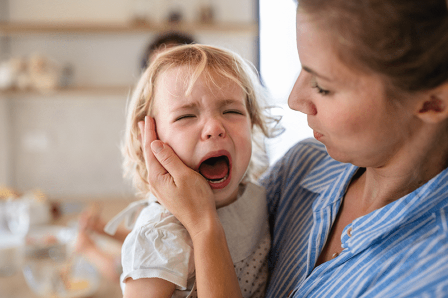 Armonía y Bienestar